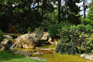 Jardin naturaliste : densités de plantation, matrice végétale et entretien réel
